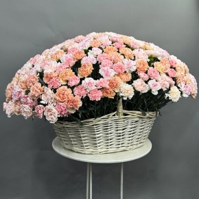 Композиция в корзине из 251 диантуса микс в Лосино-Петровском