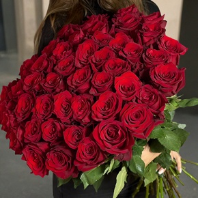 Букет 51 роза Эквадор Эксплорер (60 см) в Лосино-Петровском