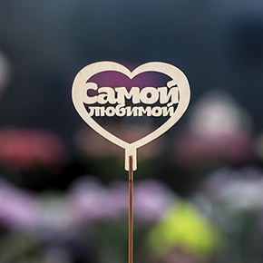 Топпер Самой Любимой в Лосино-Петровском