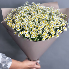 Букет из 17 ромашек танацетум в Лосино-Петровском
