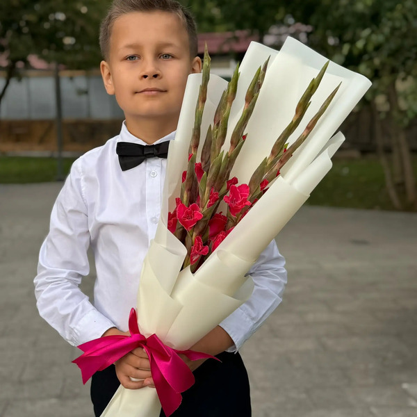 Букет на 1 сентября из 7 малиновых гладиолусов в Лосино-Петровском