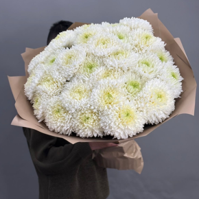 Букет из 27 хризантем Магнум в Лосино-Петровском