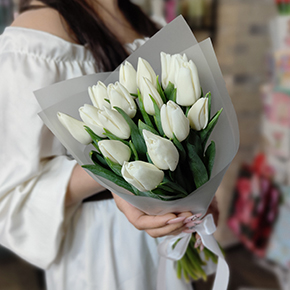 Букет из 15 белых тюльпанов в Лосино-Петровском