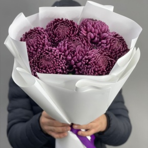 Букет "Винная легенда" из 7 хризантем Бигоуди в Лосино-Петровском