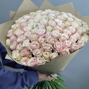 Букет из 101 розы Пинк Мондиаль Эквадор (60 см) в Лосино-Петровском
