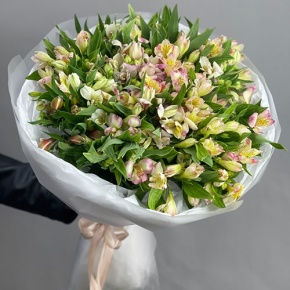 Букет "Зарина" из 37 альстромерий микс в Лосино-Петровском