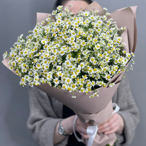 Букет из 17 полевых ромашек в Лосино-Петровском