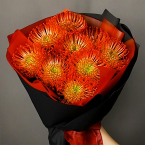 Букет из 9 лейко в Лосино-Петровском