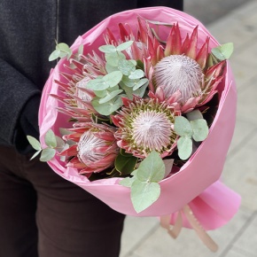 Букет из 5 протей и эвкалипта в Лосино-Петровском