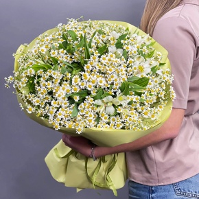 Букет из альстромерий и ромашек в Лосино-Петровском