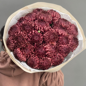 Букет 21 шоколадной хризантемы Бигоуди в Лосино-Петровском