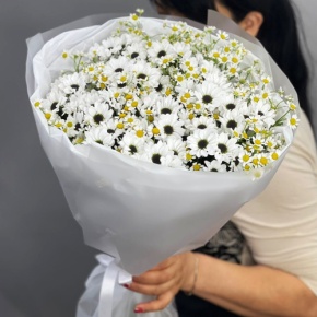 Букет "Понарошку" из хризантем сантини и ромашек в Лосино-Петровском