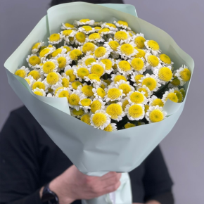 Букет "Моё солнышко" из 17 хризантем сантини  в Лосино-Петровском