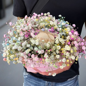 Композиция в коробке сердца из радужных гипсофил с топпером в Лосино-Петровском