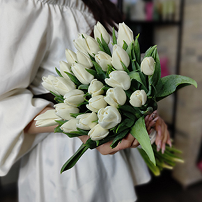Букет белоснежных тюльпанов (25 шт) в Лосино-Петровском