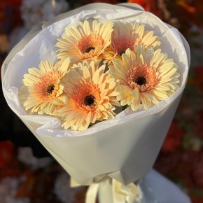 Букет из 5 персиковых гербер в Лосино-Петровском