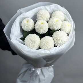 Букет из 9 белых хризантем Момоко в Лосино-Петровском