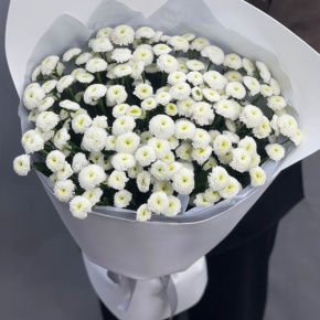Букет "Белая дымка" из 25 хризантем сантини в Лосино-Петровском