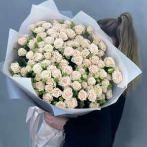 Букет из 25 кремовых кустовых роз (70 см) в Лосино-Петровском
