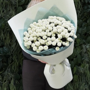 Букет из 25 хризантем Ньютон в Лосино-Петровском