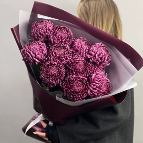 Букет "Изобилие" из 11 винных хризантем Бигоуди в Лосино-Петровском