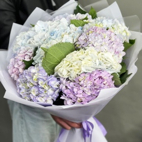 Букет из 9 Голландских гортензий микс в Лосино-Петровском