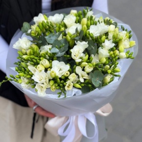 Букет из 51 белой фрезии в Лосино-Петровском