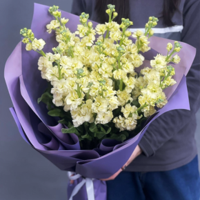Букет из 15 лимонных маттиол в Лосино-Петровском