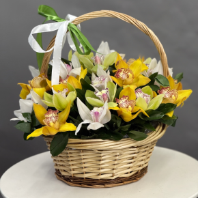 Композиция в корзине из 25 орхидей микс в Лосино-Петровском