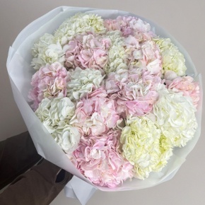 Букет из 17 нежных гортензий в Лосино-Петровском
