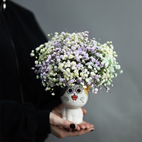 Композиция из гипсофил в керамическом кашпо в Лосино-Петровском