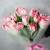 Букет "Фламинго" из 11 пионовидных тюльпанов в Лосино-Петровском Букет "Фламинго" из 11 пионовидных тюльпанов в Лосино-Петровском
