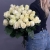 Букет из 25 роз Эквадор Мондиаль (60см) в Лосино-Петровском Букет из 25 роз Эквадор Мондиаль (60см) в Лосино-Петровском