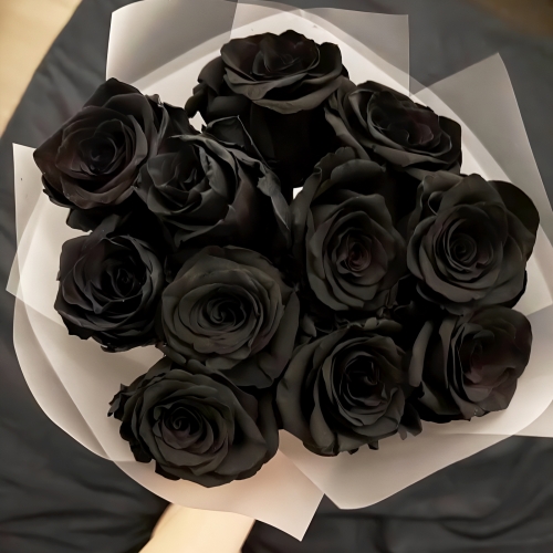 Букет "Черная королева" из 11 черных роз Эквадор (60 см) в Лосино-Петровском