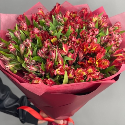 Монобукет из 25 красных альстромерий в Лосино-Петровском