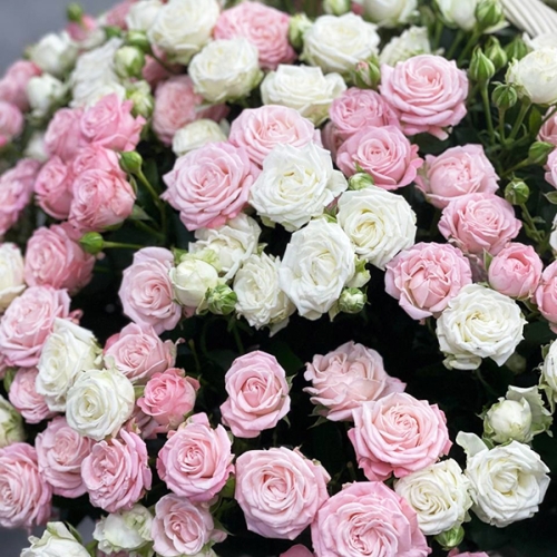 Композиция в корзине из 101 кустовой пионовидной розы в Лосино-Петровском