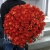 Букет 101 коралловая роза (60 см) в Лосино-Петровском Букет 101 коралловая роза (60 см) в Лосино-Петровском