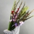 Букет из 25 гладиолусов микс в Лосино-Петровском Букет из 25 гладиолусов микс в Лосино-Петровском