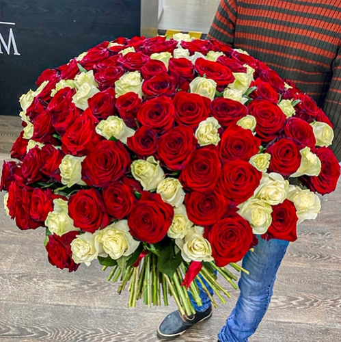 Букет 151 роза красный и белый микс (60 см) в Лосино-Петровском