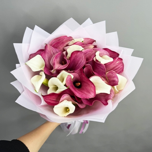 Букет из 25 нежных калл в Лосино-Петровском