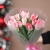Букет "Фламинго" из 11 пионовидных тюльпанов в Лосино-Петровском Букет "Фламинго" из 11 пионовидных тюльпанов в Лосино-Петровском