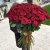 Букет из 101 красной розы (90 см) в Лосино-Петровском Букет из 101 красной розы (90 см) в Лосино-Петровском