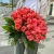 Букет 51 роза коралл (60 см) в Лосино-Петровском Букет 51 роза коралл (60 см) в Лосино-Петровском