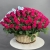 Композиция в корзине из 151 малиновой розы в Лосино-Петровском Композиция в корзине из 151 малиновой розы в Лосино-Петровском