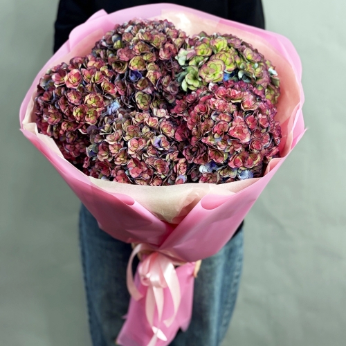 Букет из 5 космических Голландских гортензий в Лосино-Петровском