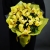Букет из 13 лимонных орхидей в Лосино-Петровском Букет из 13 лимонных орхидей в Лосино-Петровском