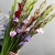 Букет из 25 гладиолусов микс в Лосино-Петровском Букет из 25 гладиолусов микс в Лосино-Петровском