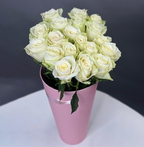 19 белых роз Кения в конусе в Лосино-Петровском