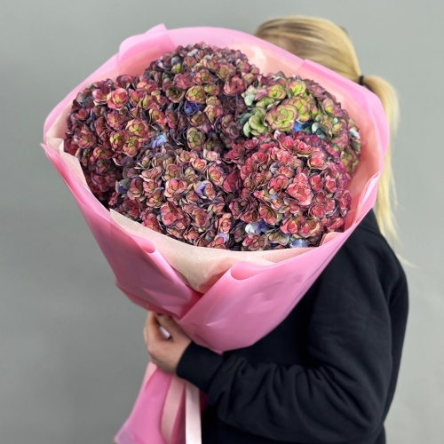 Букет из 5 космических Голландских гортензий в Лосино-Петровском